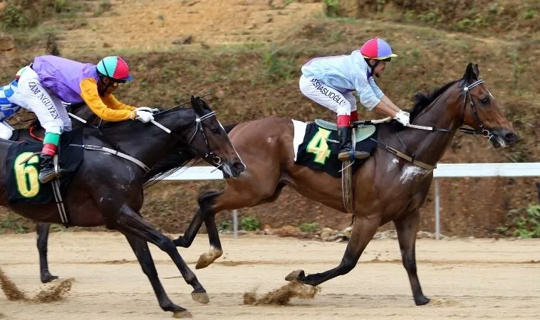 Tìm Hiểu Cá Cược Đua Ngựa 8KBet: Hành Trình Giải Trí Kịch Tính 1 đua ngựa 8KBet